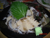 海光房: はるかさんの2008年05月28日の2枚目の投稿写真