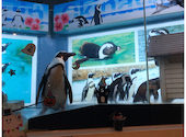 ペンギンのいるダイニングバー沖縄 : サトさんの2020年10月の1枚目の投稿写真
