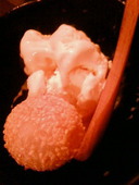 本格焼鳥 大名へて 壱: 真乃さんの2011年10月05日の3枚目の投稿写真