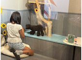 犬猫カフェ put on lap プットオンラップ 今池: gtさんの2026年07月26日の1枚目の投稿写真