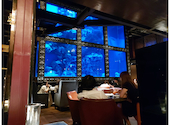 AQUA RESTAURANT&BAR LUXIS ラグシス: さーくんさんの2023年09月09日の1枚目の投稿写真