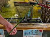 釣船茶屋 ざうお 亀戸駅前店: くみっくさんの2025年09月11日の2枚目の投稿写真
