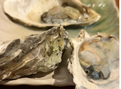 カキと肴　ちゅるり: しうさんの2026年03月の1枚目の投稿写真