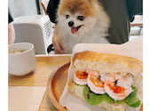 Cape＆Paw: しーさんの2026年08月02日の1枚目の投稿写真