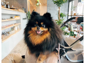 Cape＆Paw: しーさんの2026年08月02日の2枚目の投稿写真