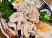 焼鳥ホルモン 炭焼き0式: ゆきえさんの2025年02月08日の1枚目の投稿写真