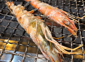 おいんち: むぎさんの2026年04月24日の1枚目の投稿写真