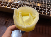 おいんち: むぎさんの2026年04月24日の2枚目の投稿写真