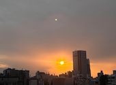 ビアガーデン 新大久保 Terrace: こころさんの2026年06月20日の3枚目の投稿写真