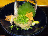 和の台所　みやび: realism164さんの2011年02月21日の2枚目の投稿写真