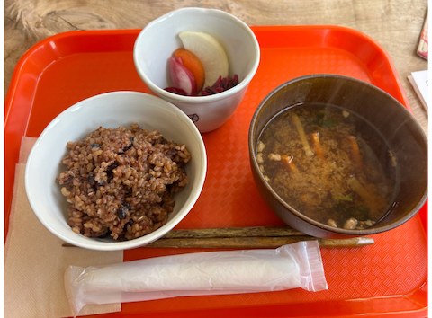 健康の種 本山店: わんこさんの2026年04月18日の1枚目の投稿写真