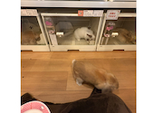 カフェ ミニヨン: meowさんの2026年09月24日の1枚目の投稿写真