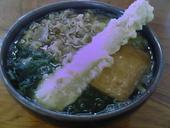 麺許皆伝: ごんざえもんの館さんの2008年06月11日の1枚目の投稿写真