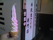 Ｓｈｉｒｏｉｃｈｉ・Ｓｈｉｂｕｙａ: ごんざえもんの館さんの2008年05月24日の3枚目の投稿写真