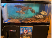 居酒屋 幾蔵 いくぞう 駅前本店: watch17さんの2024年07月06日の1枚目の投稿写真