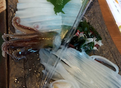 函館活鮮居酒屋 魚和 Uonagi: こすさんの2026年05月16日の1枚目の投稿写真