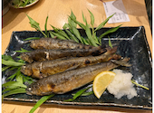海鮮居酒屋 魚友 五十集 さかともいさば 南森町店: ラブ＆ピースさんの2026年06月07日の1枚目の投稿写真