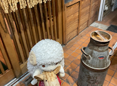 羊スケ 信州の恵み ジンギスカン: いつきさんの2026年05月23日の2枚目の投稿写真