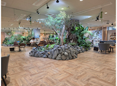cafe Earth + h.l: ミンさんの2026年08月12日の3枚目の投稿写真