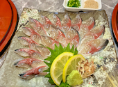 海鮮居酒屋 だるま屋: やすひろさんの2026年06月21日の1枚目の投稿写真