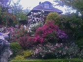 ル・リバージュ: バンビさんの2009年06月24日の2枚目の投稿写真