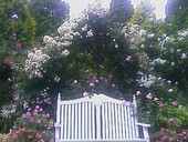 ル・リバージュ: バンビさんの2009年06月24日の3枚目の投稿写真