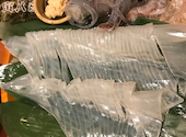 寅八商店 心斎橋店: みなみさんの2021年03月28日の3枚目の投稿写真