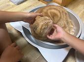 短足Home: みーさんさんの2026年08月11日の2枚目の投稿写真