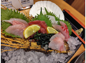 さかなや道場 伊豆急下田店: KAPIさんの2026年08月18日の1枚目の投稿写真