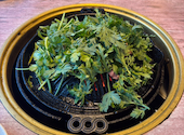 ひぐま屋 三軒茶屋店: すいさんの2026年04月23日の3枚目の投稿写真