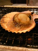 満潮 高知: 黒豆マメまめ☆さんの2009年12月11日の1枚目の投稿写真