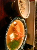 満潮 高知: 黒豆マメまめ☆さんの2009年12月11日の2枚目の投稿写真