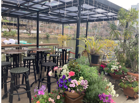 カナルカフェ CANAL CAFE: ちょこんさんの2026年03月22日の1枚目の投稿写真