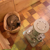 Modernark pharm cafe（モダナーク・ファームカフェ）: はるやきさんの2008年03月16日の1枚目の投稿写真