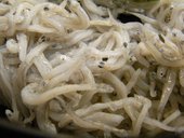 川古江家: はるやきさんの2009年07月19日の2枚目の投稿写真