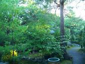 蕪庵: meimeiさんの2007年06月24日の1枚目の投稿写真