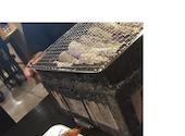 しちりん焼肉 だい: ゆさんの2026年07月18日の3枚目の投稿写真