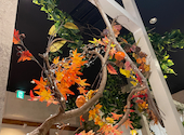 TOTO S CAFE トトズカフェ 一番町店: よっちゃんさんの2026年09月28日の2枚目の投稿写真