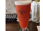 居酒屋 どんぴしゃ: みゅうたんさんの2026年09月08日の1枚目の投稿写真