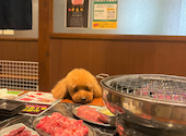 【幸せを運ぶ牛 幸生牛（さちうぎゅう）取扱店】 焼肉小山　金沢もりの里店: ピッチさんの2026年05月01日の1枚目の投稿写真