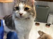 ANIMAL cafe and Bar mofutto: やとさんの2026年07月08日の1枚目の投稿写真