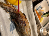 小川の魚: みーさんの2026年02月16日の2枚目の投稿写真