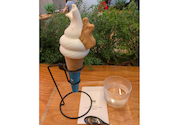 TNOC THE CAFE SAPPORO T4 ティーノックザカフェサッポロティーフォー: ヒロヒロさんの2026年08月26日の1枚目の投稿写真