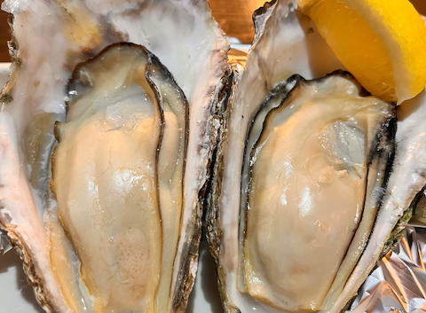 瀬戸内海鮮居酒屋 こうせい: ひろろさんの2025年11月03日の3枚目の投稿写真