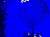 アクアリウムダイニング 新宿 ライム LIME: 百合さんの2026年06月21日の3枚目の投稿写真