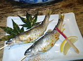 小川の魚: さとこさんの2025年08月22日の3枚目の投稿写真