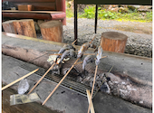岡田養魚場: ジュリさんの2026年05月05日の1枚目の投稿写真