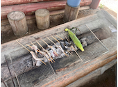 岡田養魚場: ジュリさんの2026年08月14日の2枚目の投稿写真