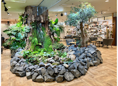 cafe Earth + h.l: JUNKOさんの2026年09月22日の3枚目の投稿写真