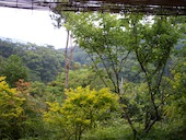 藍染茶房 藍風: きらちゃんさんの2013年11月25日の3枚目の投稿写真